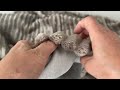 Tessuto di rivestimento felpato, con strisce rinforzate