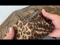 Tessuto per costumi da bagno, fantasia animalier
